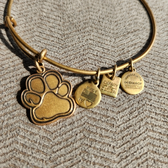 Alex and Ani Paw Print Charm Bracelet - Picture 4 of 4